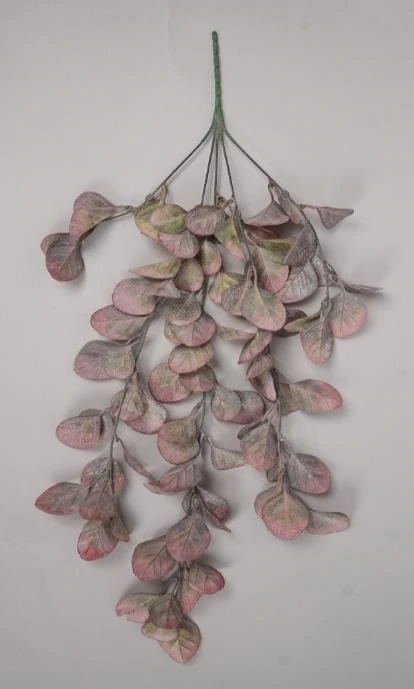 Rusty Eucalyptus Leaves Hanging